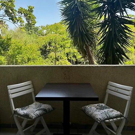 Rundinelle Di Saint-florent *