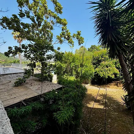 Rundinelle Di Saint-florent