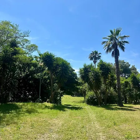 Rundinelle Di Saint-florent Saint-Florent (Corsica)