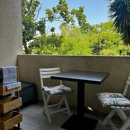 Rundinelle Di Saint-florent *