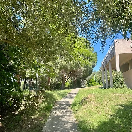 Rundinelle Di Saint-florent *