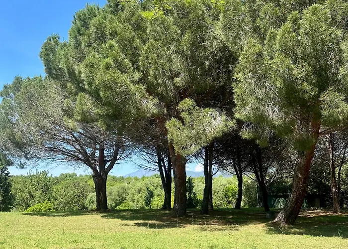 Rundinelle Di Saint-florent