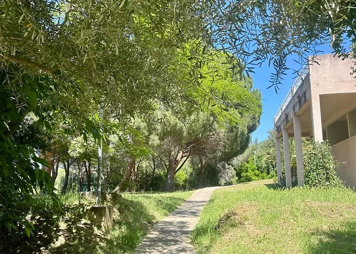 Rundinelle Di Saint-florent *